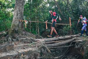 BIB: 
                            <button type="button" onclick="openModal(27747292)" class="btn btn-primary btn-sm float-right btn-popup" data-toggle="modal" data-target=".modal-high-quality">
                        <i class="fas fa-shopping-cart"></i> Add to Cart
                    </button>
                                            <button type="button" onclick="isThisMe(27747292, true)" class="btn btn-success btn-sm float-right btn-popup btn-isme hidden" data-toggle="tooltip" data-placement="bottom" title="นี่คือรูปของคุณใช่ไหม คลิกที่นี่เพื่อเอาเข้าอัลบั้ม">
                        <i class="fas fa-plus"></i> Add to album
                    </button>
                    <button type="button" onclick="isThisMe(27747292, false)" class="btn btn-warning btn-sm float-right btn-popup btn-isnotme hidden">
                        <i class="fas fa-ban"></i> Remove from album
                    </button>